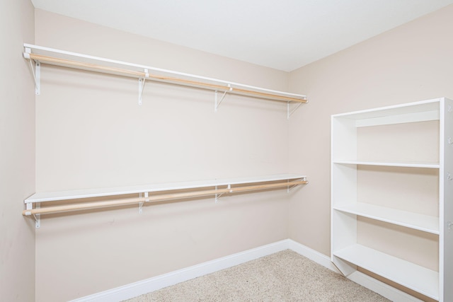 4105 Astoria Way, Columbia, MO 65203 - walk in closet featuring carpet flooring