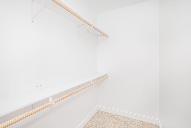 4105 Astoria Way, Columbia, MO 65203 - view of walk in closet