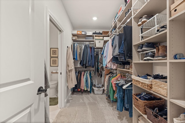 1104 Caymus Ct, Columbia, MO 65201 - walk in closet with carpet