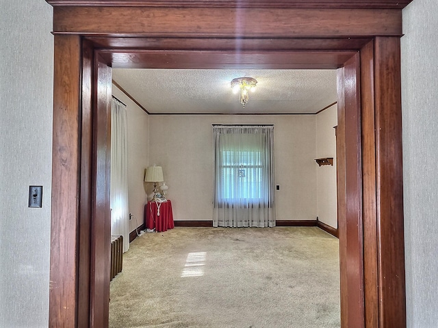 437 N Porter St, Slater, MO 65349 - empty room featuring carpet flooring, crown molding, a textured ceiling, a textured wall, and baseboards