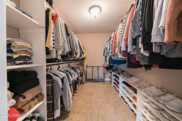 1200 Choctaw Ridge Dr, Holts Summit, MO 65043 - spacious closet featuring light colored carpet