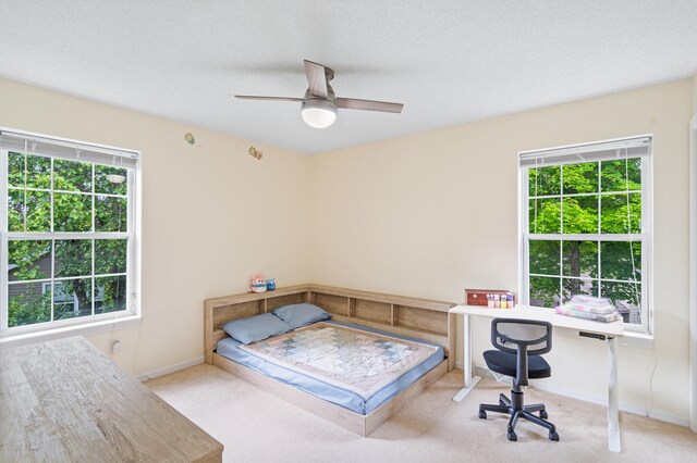 2313 Katy Ln, Columbia, MO 65203 - carpeted bedroom with multiple windows, baseboards, ceiling fan, and a textured ceiling