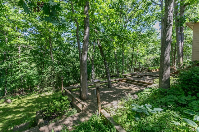 2512 Cimarron Dr, Columbia, MO 65203 - view of nature