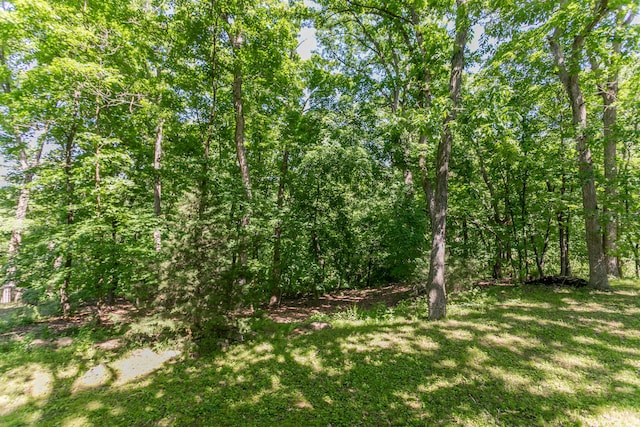 2512 Cimarron Dr, Columbia, MO 65203 - view of green lawn