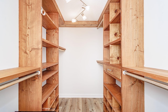 1050 Azoros Dr, Columbia, MO 65203 - spacious closet with light wood-style floors