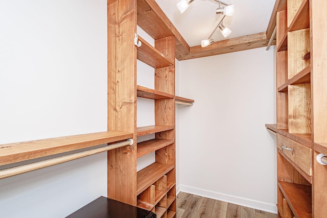 1050 Azoros Dr, Columbia, MO 65203 - walk in closet with light wood-style floors