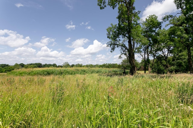 LOT12 Robinson Rd, Hallsville, MO 65255 - photo 6
