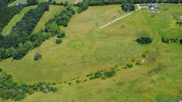 LOT12 Robinson Rd, Hallsville, MO 65255 - photo 18