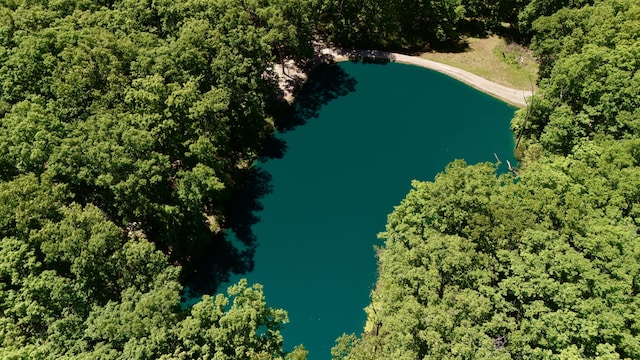 5100 E Dunbar Ln, Centralia, MO 65240 - view of property location featuring a large body of water