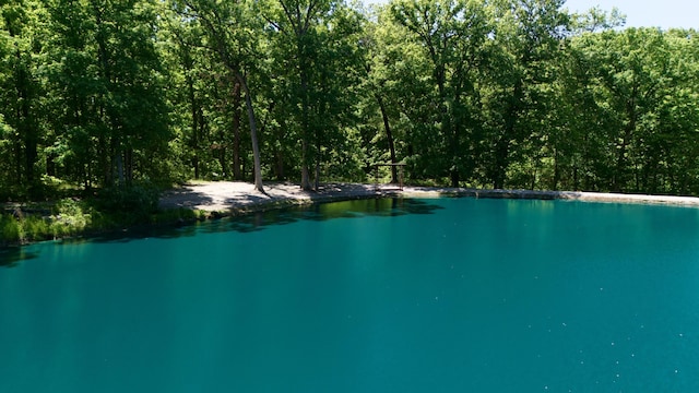 5100 E Dunbar Ln, Centralia, MO 65240 - water view with a forest