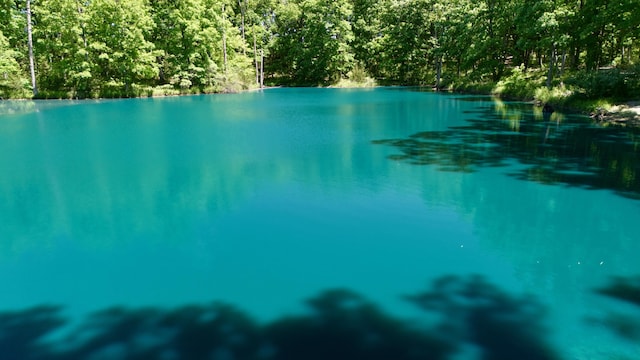 5100 E Dunbar Ln, Centralia, MO 65240 - view of pool with a water view and a view of trees