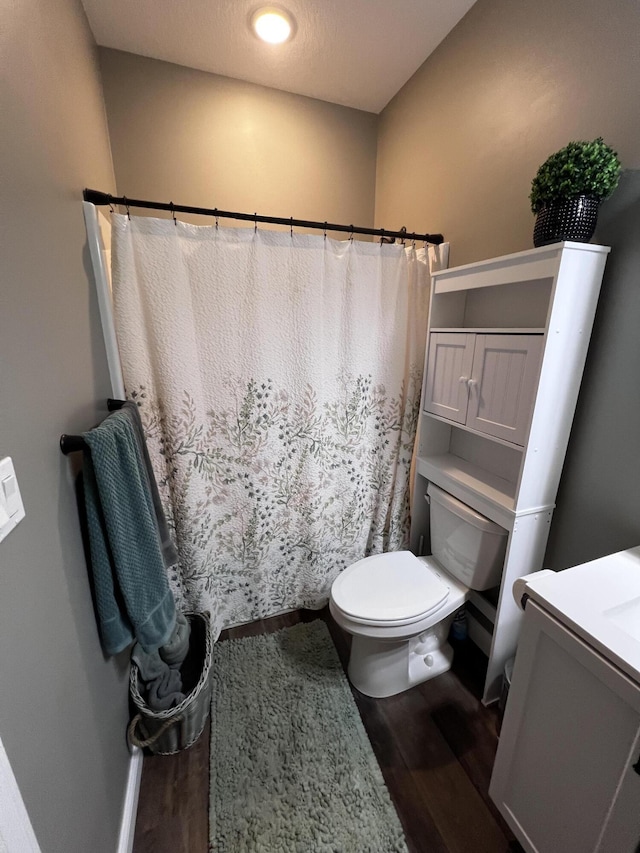 5100 E Dunbar Ln, Centralia, MO 65240 - bathroom featuring wood finished floors, toilet, a shower with shower curtain, and vanity