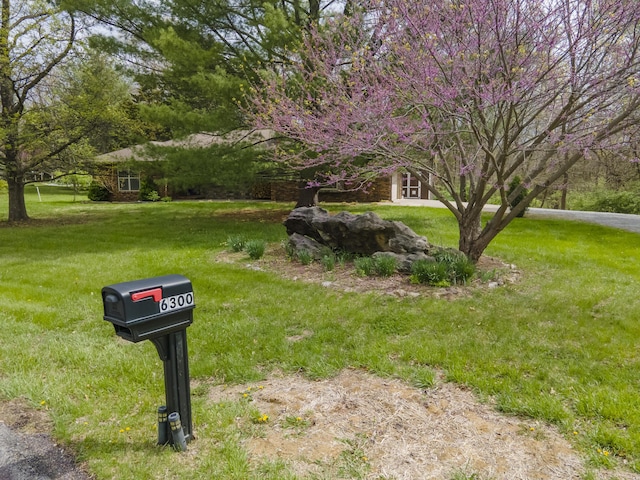 6300 S Old Village Rd, Columbia, MO 65203 - photo 4