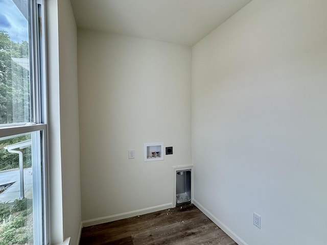 2505 Nest Ct, Columbia, MO 65202 - laundry area featuring washer hookup, electric dryer hookup, dark wood-style floors, and healthy amount of natural light