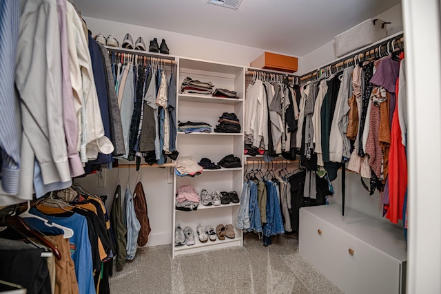 1043 Shore Acres, Columbia, MO 65201 - walk in closet featuring carpet flooring