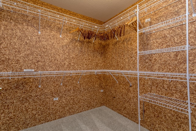 1820 N Hemlock Ridge Rd, Rocheport, MO 65279 - walk in closet featuring carpet flooring