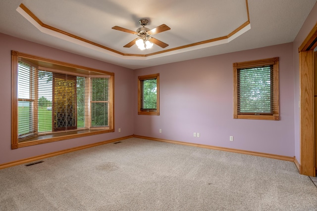 1820 N Hemlock Ridge Rd, Rocheport, MO 65279 - unfurnished room featuring a tray ceiling, carpet flooring, and plenty of natural light