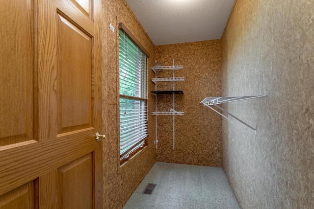 1820 N Hemlock Ridge Rd, Rocheport, MO 65279 - walk in closet featuring carpet