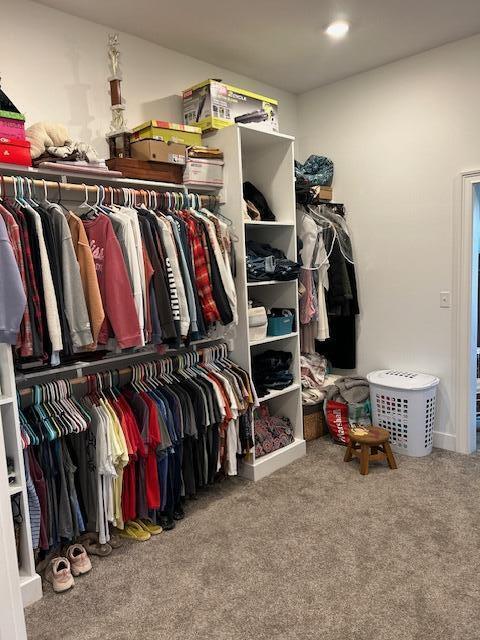 15172 S Henry Ln, Ashland, MO 65010 - spacious closet with carpet