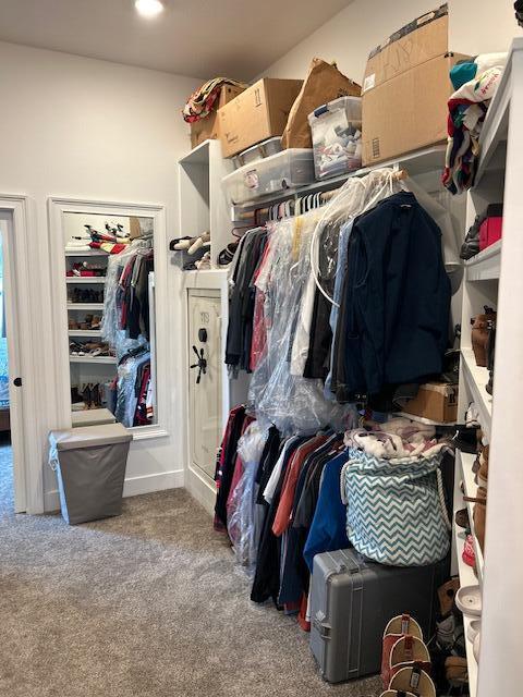 15172 S Henry Ln, Ashland, MO 65010 - spacious closet featuring carpet