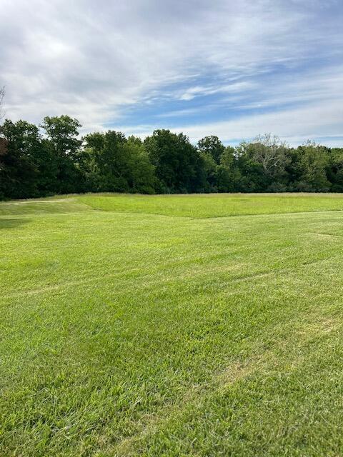 15172 S Henry Ln, Ashland, MO 65010 - view of grassy yard