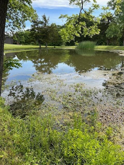 15172 S Henry Ln, Ashland, MO 65010 - water view