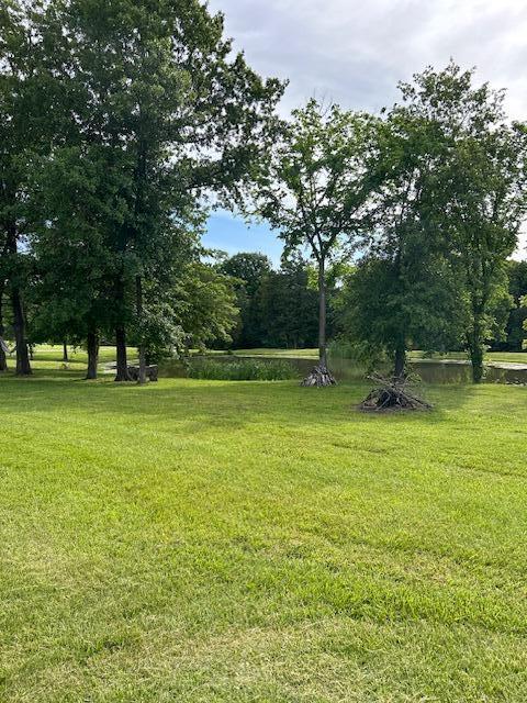 15172 S Henry Ln, Ashland, MO 65010 - view of green lawn