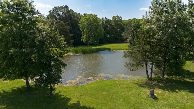 15172 S Henry Ln, Ashland, MO 65010 - photo 27