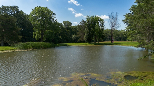 15172 S Henry Ln, Ashland, MO 65010 - photo 25