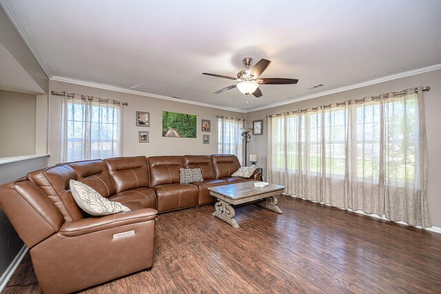 170 E Crest Ct, Columbia, MO 65202 - living room featuring wood finished floors, a ceiling fan, plenty of natural light, and crown molding