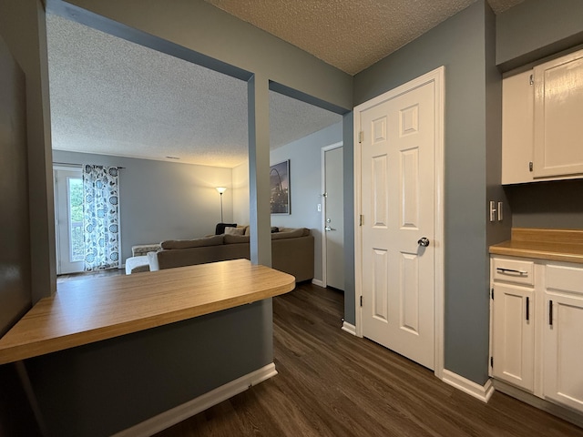 500 Columbia Dr Unit D, Columbia, MO 65203 - kitchen featuring a textured ceiling, wood counters, white cabinetry, dark wood-style flooring, and open floor plan