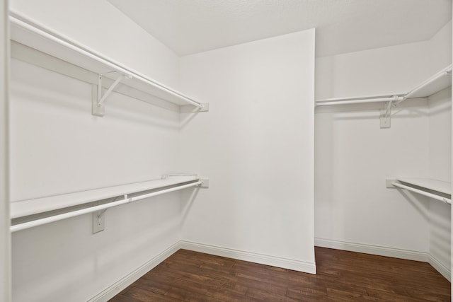 15620 Allegiance Ave, Ashland, MO 65010 - spacious closet with dark wood-style floors