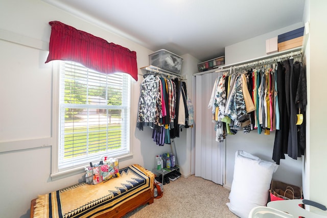 2803 Wooded Creek Dr, Columbia, MO 65203 - spacious closet with carpet flooring