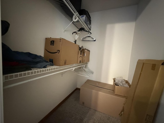 1999 N Waterfront Dr Unit H, Columbia, MO 65202 - spacious closet with carpet flooring