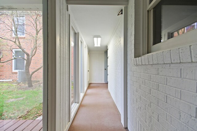 404 S Greenwood Ave, Columbia, MO 65203 - corridor featuring carpet