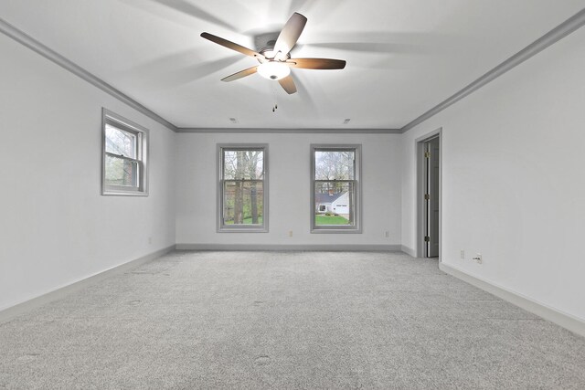 404 S Greenwood Ave, Columbia, MO 65203 - spare room with ornamental molding, light colored carpet, ceiling fan, plenty of natural light, and baseboards