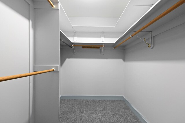 404 S Greenwood Ave, Columbia, MO 65203 - spacious closet featuring carpet flooring