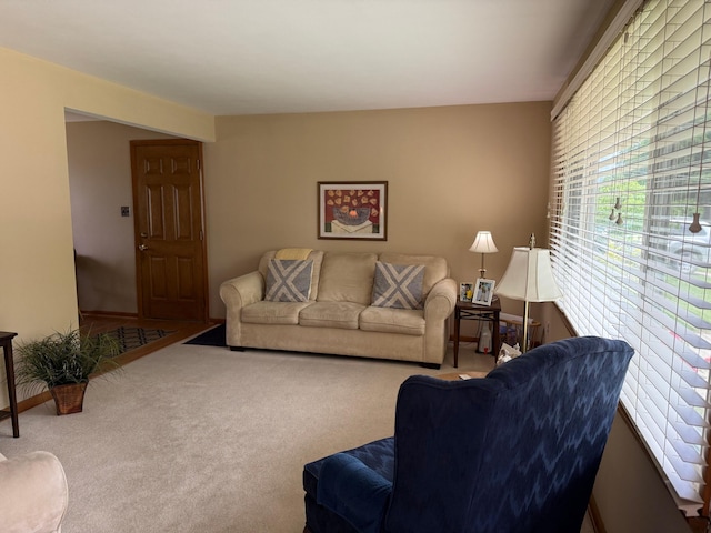1609 Doris Dr, Columbia, MO 65202 - living room featuring carpet flooring
