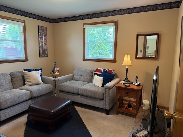 1609 Doris Dr, Columbia, MO 65202 - carpeted living area featuring healthy amount of natural light