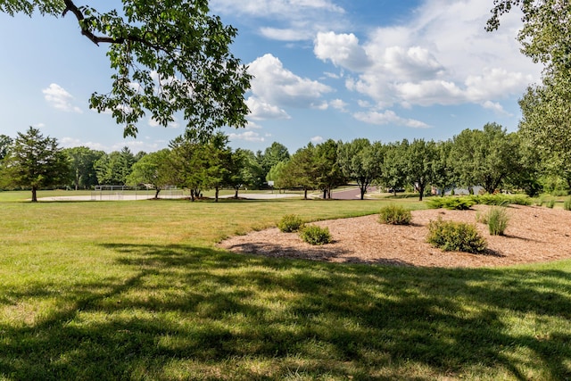 1411 Kinloch Ct, Columbia, MO 65203 - view of grassy yard