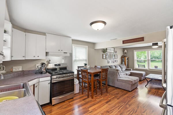 105 W Johnson Ave, Ashland, MO 65010 - kitchen featuring stainless steel appliances, a sink, wood finished floors, open floor plan, and white cabinets