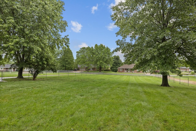 109 N Linnwood Dr, Linn, MO 65051 - view of yard
