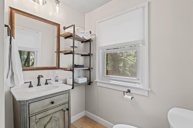 303 S Glenwood Ave, Columbia, MO 65203 - half bathroom featuring vanity, plenty of natural light, and wood finished floors