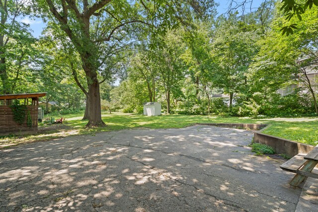 303 S Glenwood Ave, Columbia, MO 65203 - view of patio / terrace with a storage unit