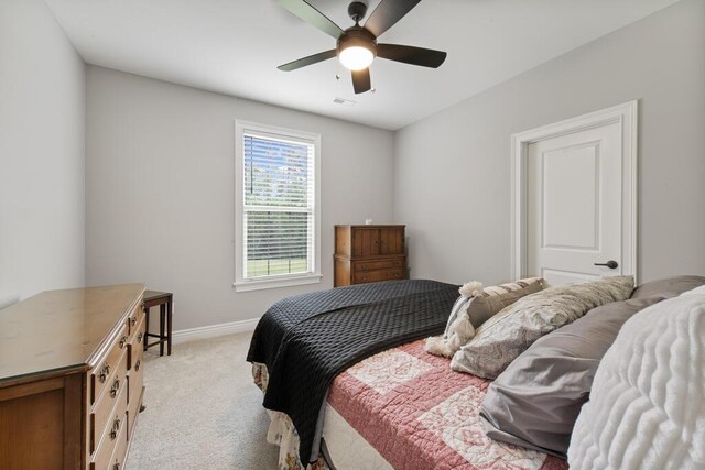 601 Black Wolf Loop, Columbia, MO 65201 - photo 29