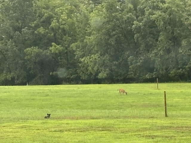 11630 N Varnon School Rd, Hallsville, MO 65255 - view of home's community with a view of rural / pastoral area and a wooded view