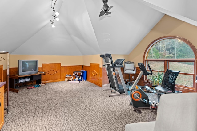 70 E High Point Ln, Columbia, MO 65203 - exercise room featuring carpet floors, vaulted ceiling, wainscoting, ceiling fan, and rail lighting