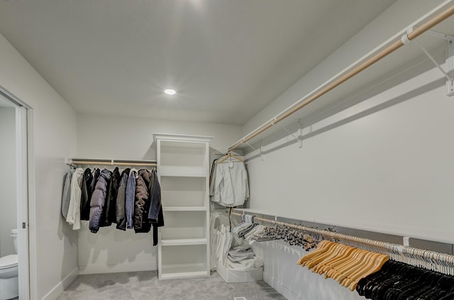 214 Hellwig Ln, Columbia, MO 65203 - spacious closet featuring carpet floors