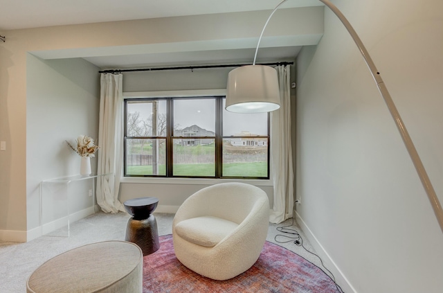 214 Hellwig Ln, Columbia, MO 65203 - living area with baseboards and carpet floors