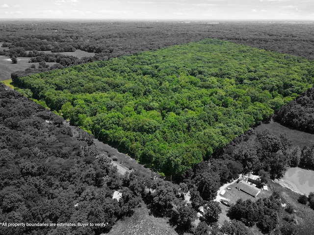 40ACRES N Phillipe Rd, Hallsville, MO 65255 - photo 2